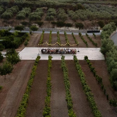 Citrus Grove Luxury Villas スカレタ エクステリア 写真