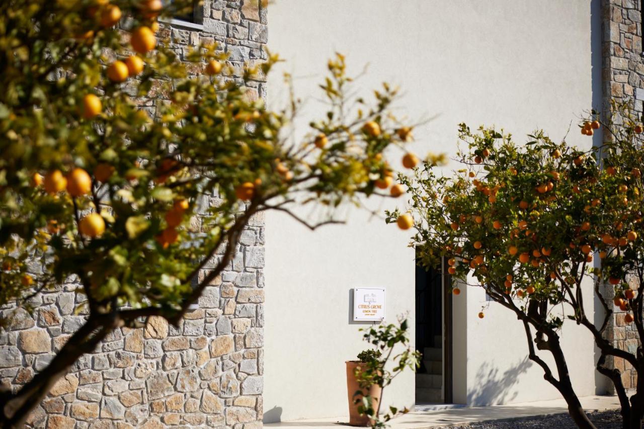Citrus Grove Luxury Villas スカレタ エクステリア 写真