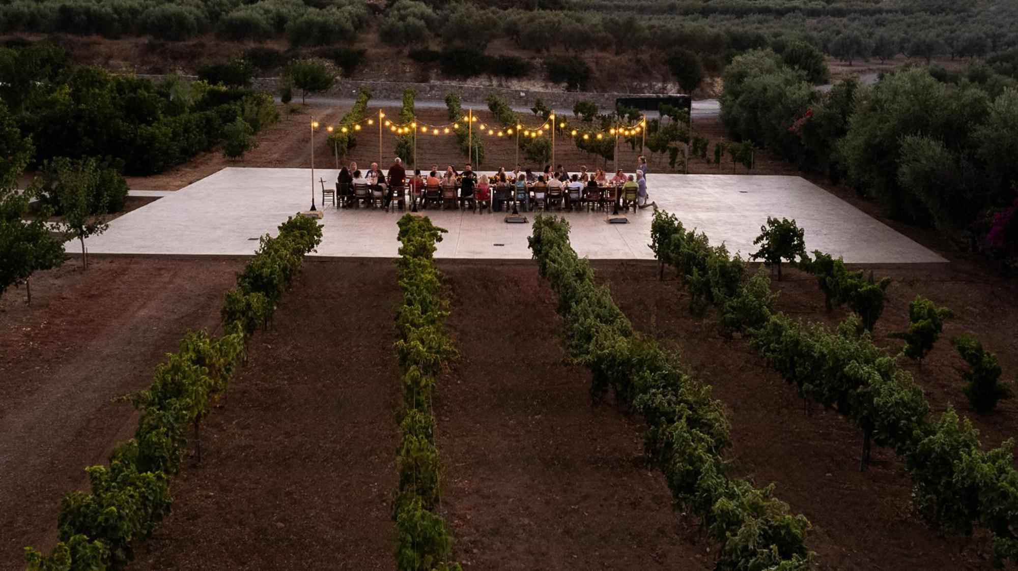 Citrus Grove Luxury Villas スカレタ エクステリア 写真
