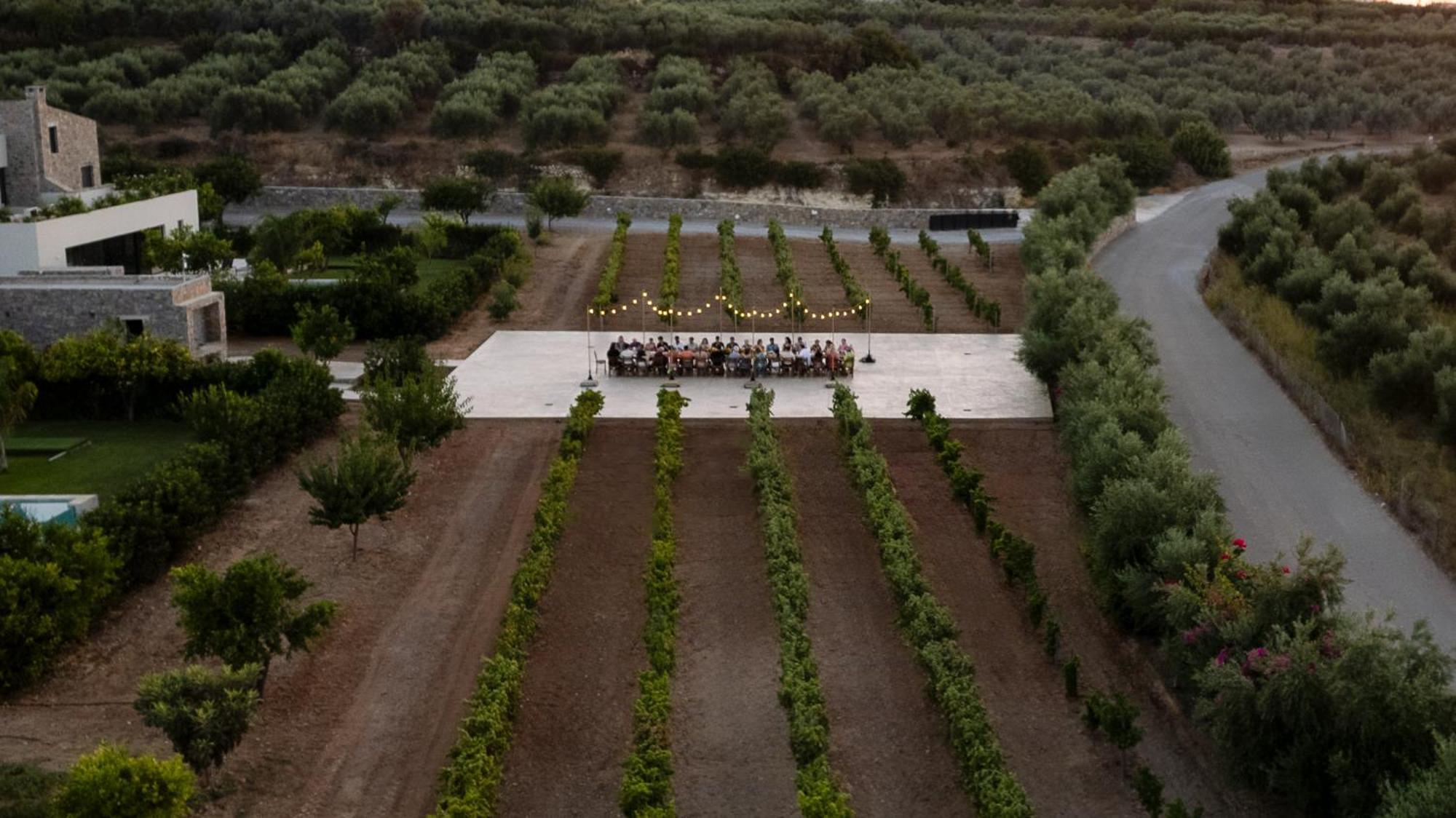 Citrus Grove Luxury Villas スカレタ エクステリア 写真